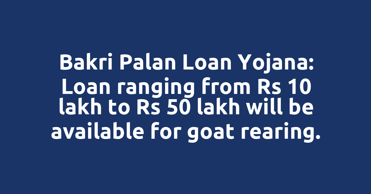 Bakri Palan Loan Yojana: Loan ranging from Rs 10 lakh to Rs 50 lakh will be available for goat rearing.