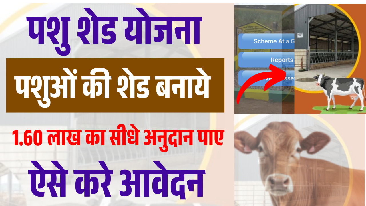 Mgnrega Pashu Shed Yojana 2025: पशुओं की शेड बनाने को लेकर मिलेगा सब्सिडी ऐसे करे आवेदन – ashokaonlinecenter.in