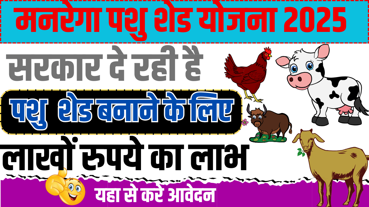 MGNREGA Pashu Shed Scheme 2025 : सरकार दे रही है पशु शेड बनाने के लिए लाखो रूपये, ऐसे करे आवेदन