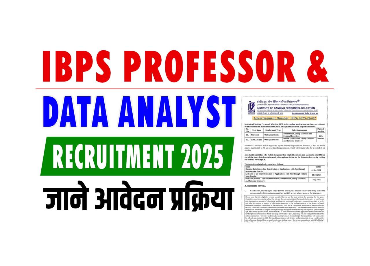 IBPS Professor & Data Analyst Recruitment 2025: IBPS took out the new recruitment of data analyst including professor, know what is the application process